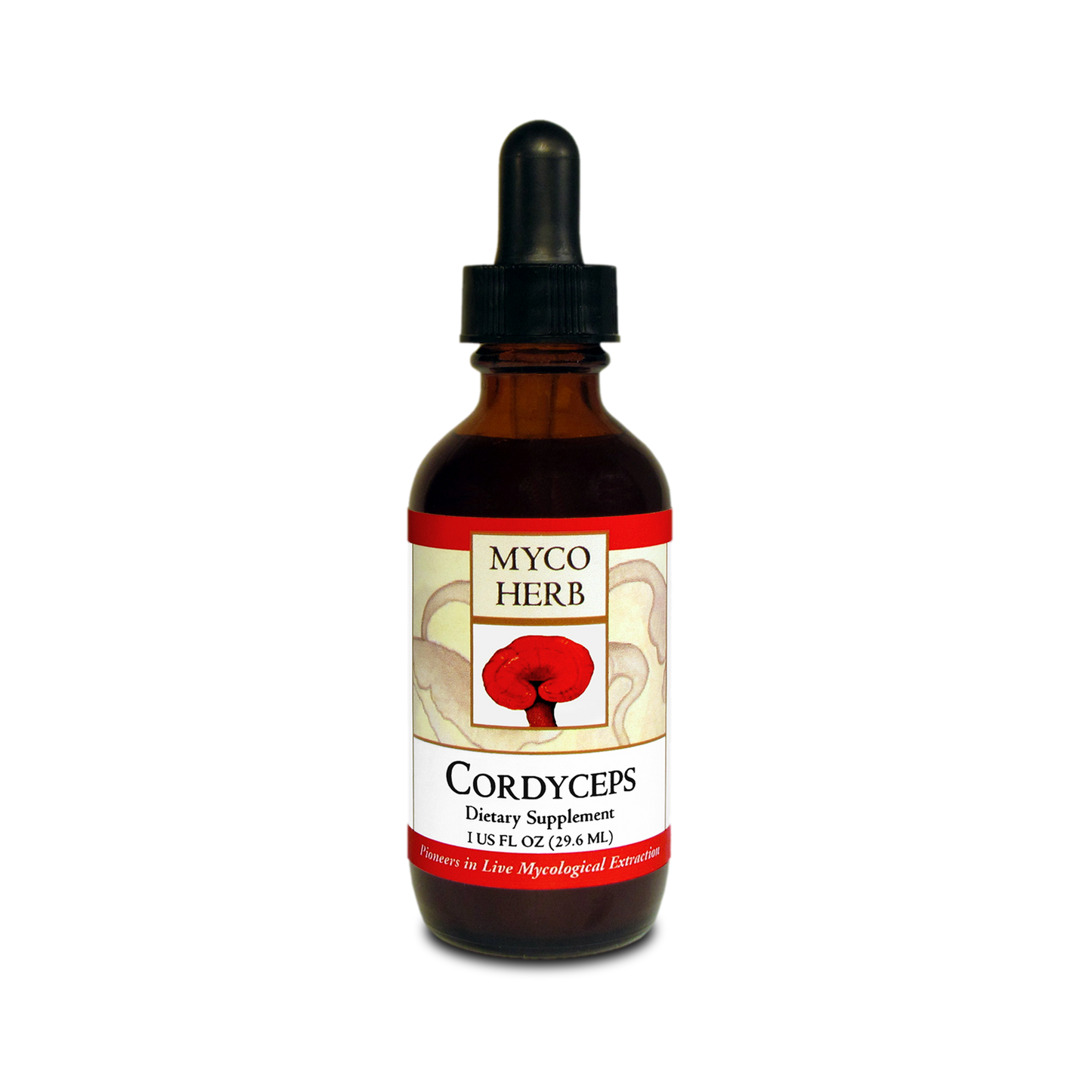 Cordyceps