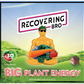 Big Plant Energy